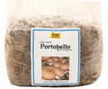Root Mushroom Farm-Portobello Grain Spawn(NOT A GROW KIT)