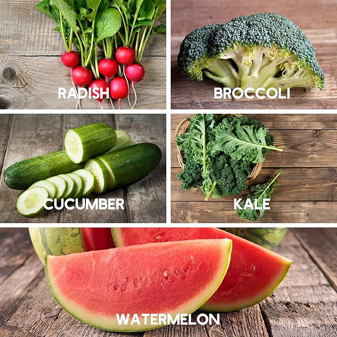 10 Assorted Organic Vegetable Seeds for Planting - ~3,200 + Heirloom Non-GMO Fruit Seeds, Herb Seeds, & Vegetable Seeds - with Grow Guide - Broccoli, Basil, Watermelon, Cilantro, Carrot, Kale, & More