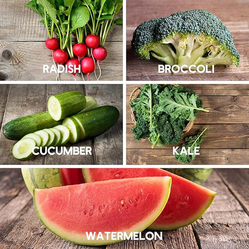10 Assorted Organic Vegetable Seeds for Planting - ~3,200 + Heirloom Non-GMO Fruit Seeds, Herb Seeds, & Vegetable Seeds - with Grow Guide - Broccoli, Basil, Watermelon, Cilantro, Carrot, Kale, & More