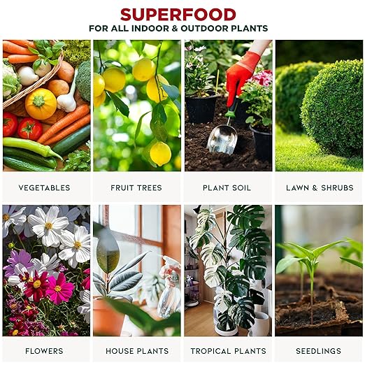 𝐁𝐄𝐒𝐓𝐒𝐄𝐋𝐋𝐄𝐑 Organic Liquid Kelp Fertilizer by GARDENERA - [8 OZ] - Organic Plant Superfood for Gardening - Concentrated Kelp & Seaweed Extract for Gardens, Lawns, Plants & Soil
