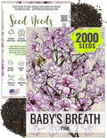Seed Needs Pink Baby's Breath Seeds for Planting Rosy Pink Blooms - Heirloom & Open Pollinated Wildflowers to Attract Pollinators to a Butterfly Garden - Great for Cut Flowers (1 Pack)