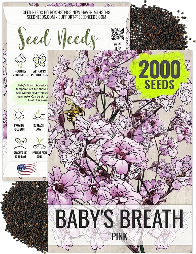 Seed Needs Pink Baby's Breath Seeds for Planting Rosy Pink Blooms - Heirloom & Open Pollinated Wildflowers to Attract Pollinators to a Butterfly Garden - Great for Cut Flowers (1 Pack)