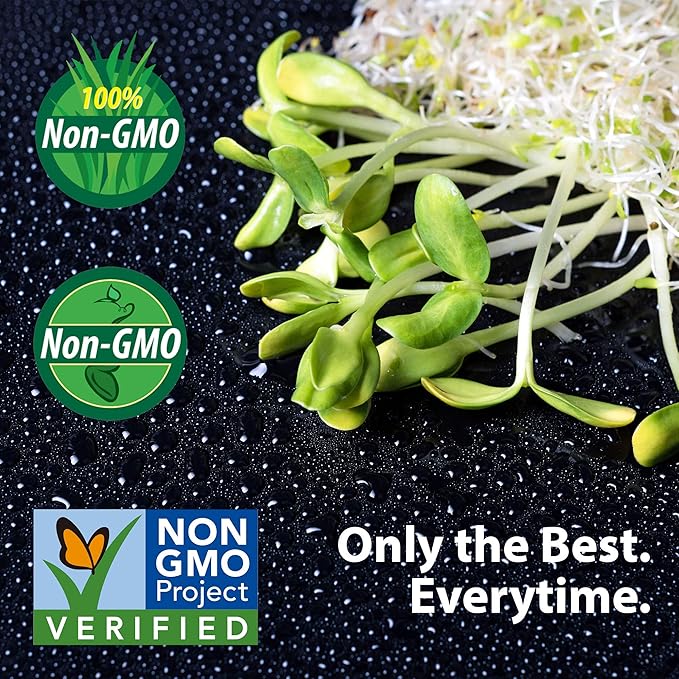 Organic Garden Yellow Pea Seed - 1 Lb ~2,000 Seeds - Non-GMO Heirloom Yellow Sprouting Pea Seeds for Microgreens Pea Shoots, Outdoor Gardening, Indoor Sprouts, Cover Crops, Organic Micro Greens Kit