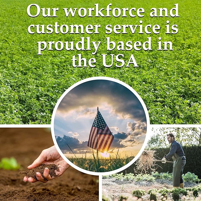 Legume Powder Inoculant - Cover Crop Seed Inoculant for Legume Seeds - .25 Oz Bag - Powder Rhizobia Inoculant for Cover Crop Hairy Vetch, Lentil Seeds, Fava Beans, Broad Bean, Garden Pea & Field Peas