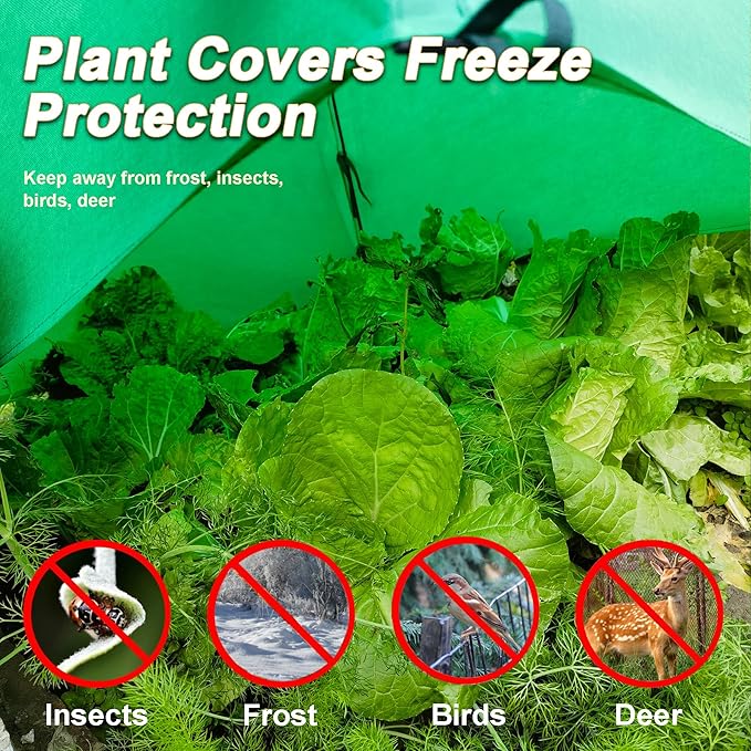 36″*36″*35.5″, Mini Greenhouse Winter Plant Warm Covers - Raised Bed Cover for Seed Starting, Warm Tent Freeze Protection Humidity Domes for Gardening & Winter Shelter and Protecting Plants 2pcs