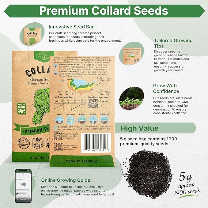 Organo Republic Collard Georgia Southern Seeds Pack 5G - Over 1900 Non-GMO Heirloom Collard Seeds for Planting Vegetable in Individual Seed Packet Vegetables Seeds for Planting Indoor & Outdoor