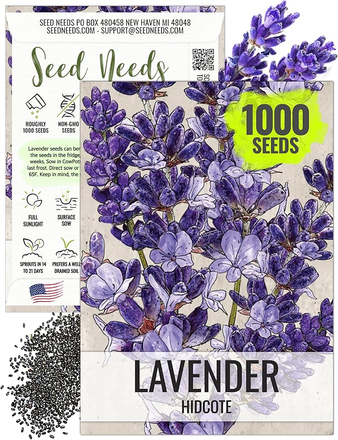 Seed Needs Lavender Seeds for Planting Hidcote Lavandula Plants - Non-GMO Heirloom & Untreated Medicinal Herb Seed to Plant & Grow an Outdoor Home Grown Herb Garden (1 Pack)