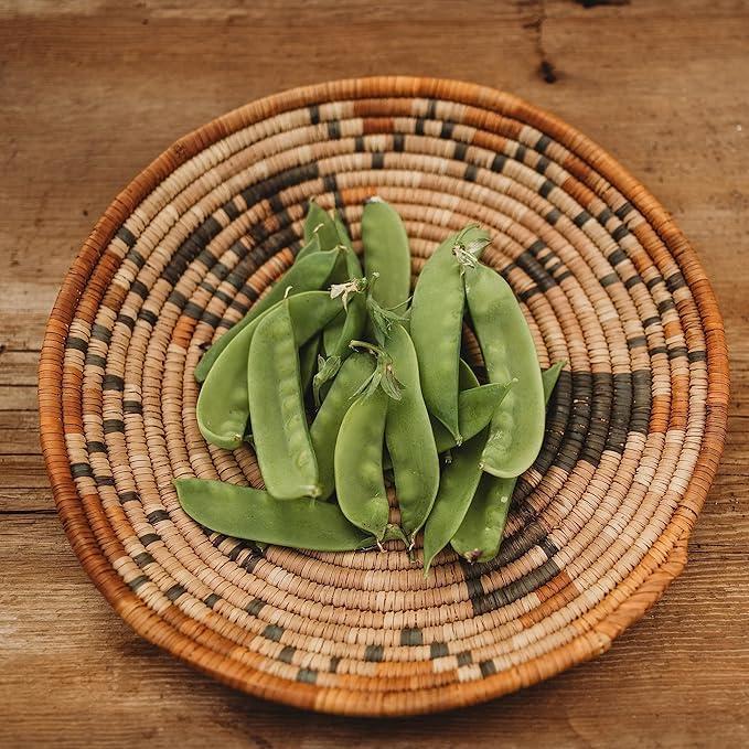 Green Beauty Snow Pea - 50 Seeds - Heirloom & Open-Pollinated Variety, Non-GMO Vegetable Seeds for Planting in The Home Garden, Thresh Seed Company