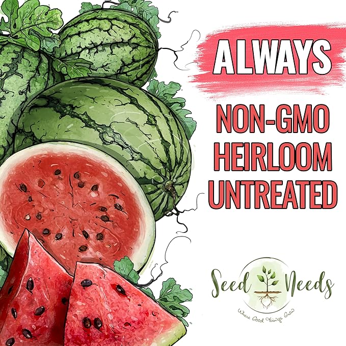 Seed Needs Watermelon Seeds for Planting Fruits - Non-GMO Heirloom & Untreated Water Melon Seed to Plant an Outdoor Home Grown Garden - Collection/Seed Kit (3 Packs)