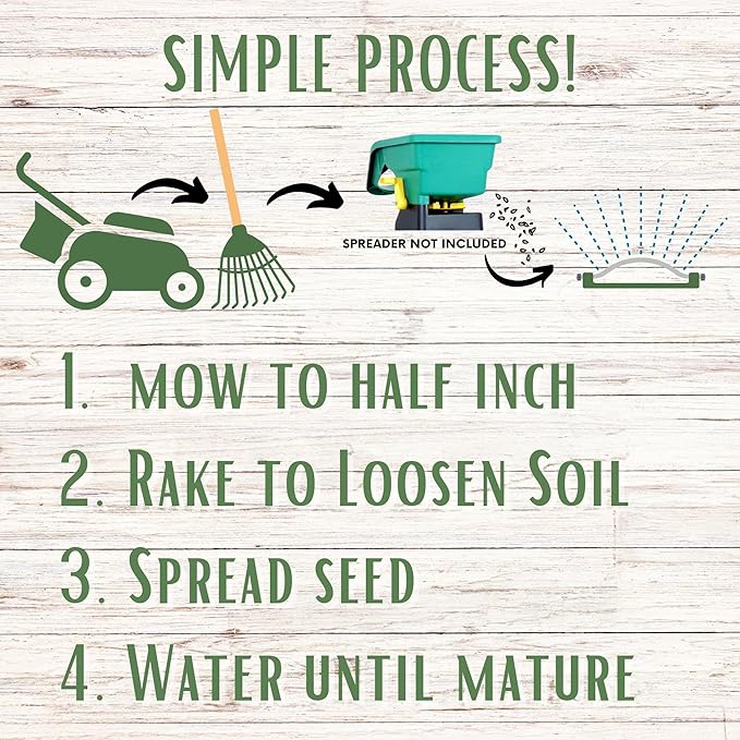 Flawn Seed Kits Simple Lawn Mow Less Fine Fescue Grass Seed, 2 lbs, Low Maintenance, Shade Tolerant, Covers up to 1000 Sqft