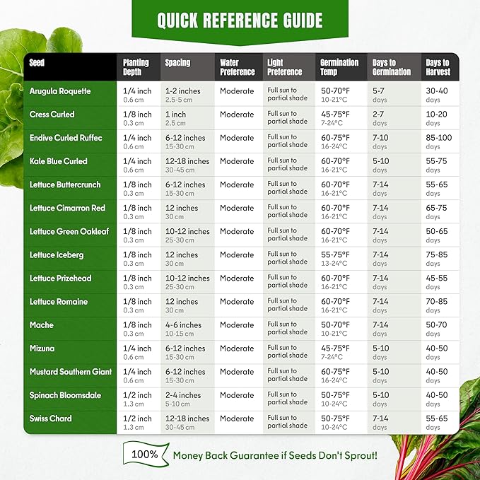 Cold Season Lettuce & Salad Greens Seeds – 15 Fall & Winter Garden Mix, 7300+ Non-GMO Heirloom Seeds Indoor Outdoor Planting