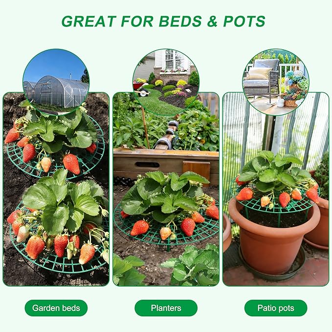 Strawberry Plant Support, 10 Pack, Raised Grid Stand to Keep Strawberries Off the Ground, Strawberry Holder for Garden Beds, Raised Planters & Pots (Round)