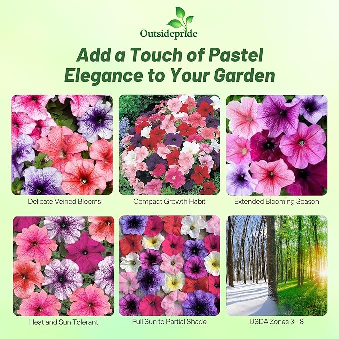 Outsidepride Veined Multiflora Petunia Seeds - 1000 Pcs. Annual, Compact, Flower Seeds for Planting, Vibrant Blooms, Ideal for Garden Beds, Hanging Baskets & Container Displays