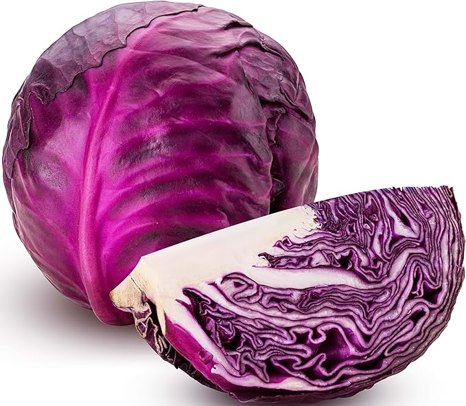 250 Red Acre Cabbage Seeds - Heirloom Non-GMO USA Grown Vegetable Seeds for Planting by RDR Seeds