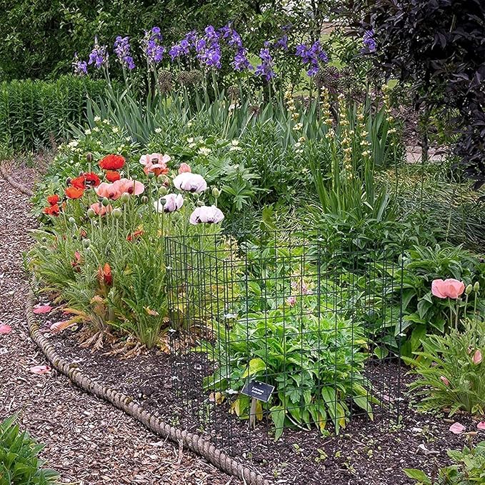 10 Packs Wire Plant Protectors from Animals -16.8'' x13'' Metal Mesh Plan t Cage Covers Garden Small Plan t Protectors Animals Chicken Wires Cover for Protect Plants,Vegetables