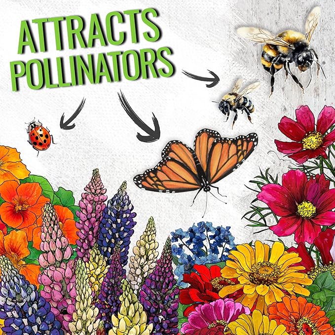 Seed Needs Butterfly Garden Seed Packet Variety Collection - 4 Individual Seed Packets for Planting Flowers - Crazy Cosmos, Zinnia California Giants, Sunflower Crazy Blend & Butterfly Wildflower Mix
