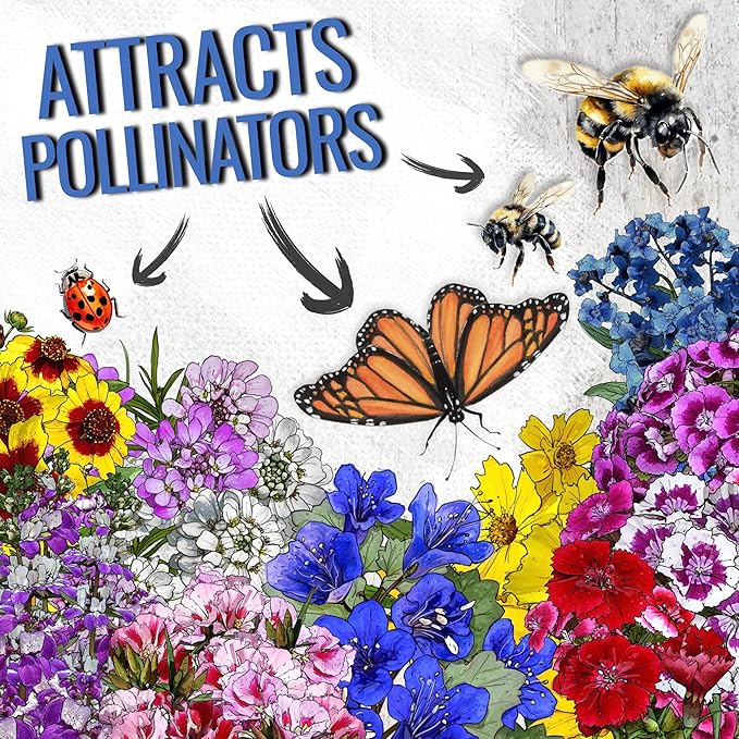 Seed Needs 2 Ounce Low Growing Wildflower Flower Seeds for Planting | Mixture/Blend 17 Varieties | Resealable Package Multicolored Blooms Open Pollinated Mixed Species | Bulk