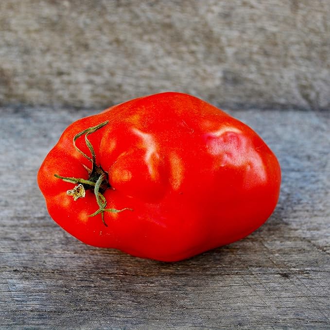 Opalka Heirloom Paste Tomato - 50 Seeds - Rare Polish Variety, Nearly Seedless Tomatoes, Great for Canning, USA-Grown, Non-GMO Seeds for Planting Outdoors in The Home Garden, Thresh Seed Company