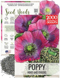 Seed Needs Hens & Chicks Poppy Seeds for Planting - Heirloom & Open Pollinated Annual Wildflowers - Beautiful Poppies to Attract Pollinators to a Butterfly Garden (1 Pack)