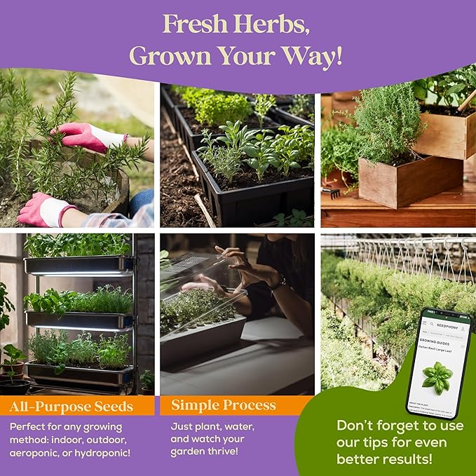 25 Culinary Herb Seeds Variety Pack - 13,055+ Non-GMO Heirloom Herbs Seeds for Planting Indoor & Outdoor: Rosemary, Basil, Catnip, Cilantro, Dill, Parsley, Oregano, Thyme, Mint, Tarragon, Lavender