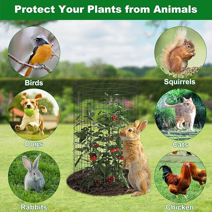 winemana 12 Set Garden Plant Protector Cage, 16x12 in Metal Wire Protectors for Plants, Protection Cages with Stakes & Ties, Animals Barrier to Keep Rabbit & Chicken Away from Flower Vegetables(Black)