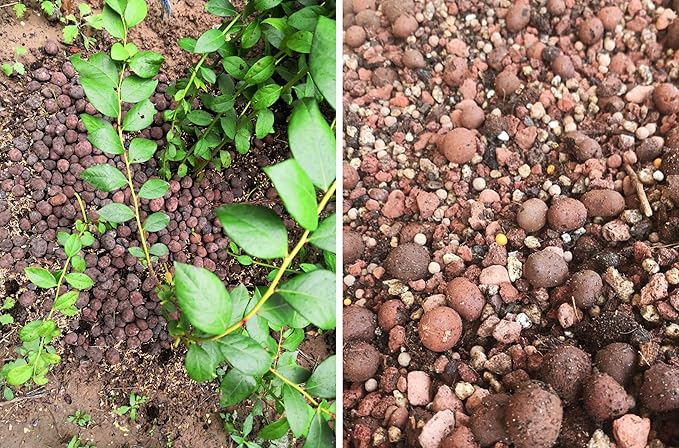 6LB Organic Expanded Clay Pebbles,for Soil Hydroponic Rocks Orchids,Indoor Plants,Succulents (6)
