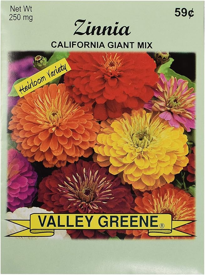 Black Duck Brand Set of 25 Packs of Zinnia California Flower Seed Packets! Flower Seeds in Bulk - Great for Creating The Garden of Your Dreams! (25, Zinnia - California Mix)
