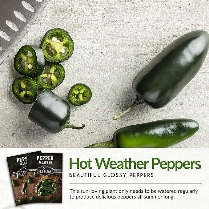 Jalapeño Pepper Seeds for Planting | Hot Heirloom Non-GMO Peppers for Pickling & Salsas – Survival Garden Seeds (2 Packs)