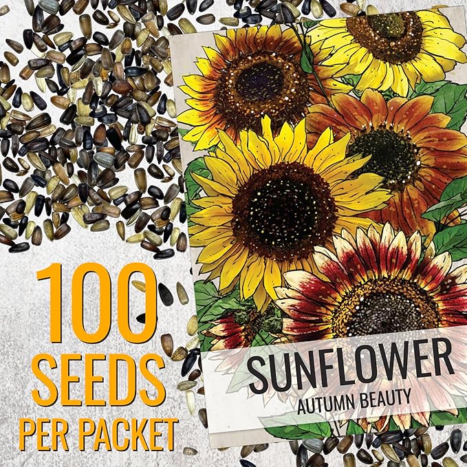 Seed Needs Sunflower Seeds to Plant Autumn Beauty Sunflowers (Mixture) - Heirloom & Open Pollinated Flower Seed to Plant an Outdoor Wildflower Butterfly Garden - Makes a Great Cut Flower (1 Pack)