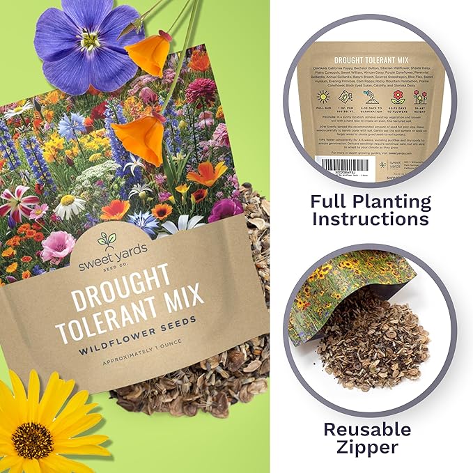 Drought Tolerant Wildflowers Mix – Extra Large Packet – Over 7,500 Open Pollinated Non-GMO Seeds – 21 Different Dryland Species