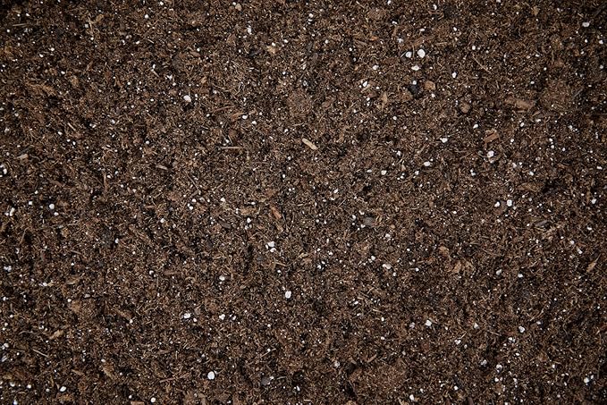 Botanicare Organicare True Earth Potting Mix, Organic Potting Soil, Indoor and Outdoor Containers, 22.75 lbs., 1.75 cu. ft.