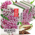 Seed Needs Milkweed Seeds for Planting Pink Swamp Asclepias incarnata - Heirloom & Untreated Perennial Flower Seed to Plant a Monarch Butterfly Garden (20 Packs)