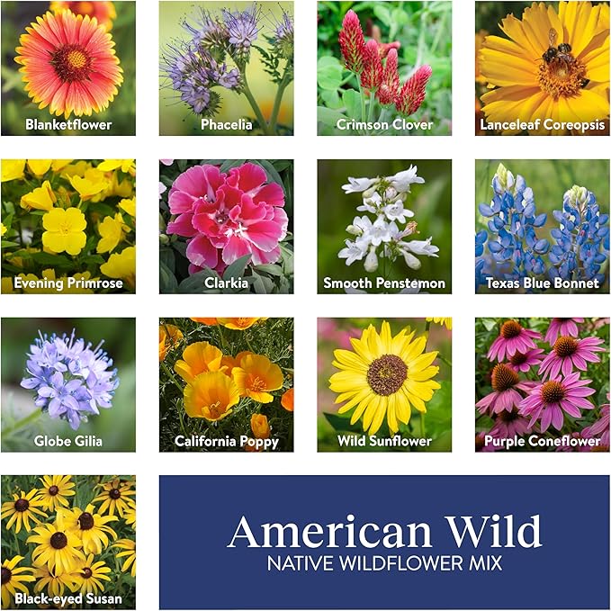 Burpee Wildflower Seeds American Wild | 25,000 Bulk Seeds, Multi, 1 Bag | 13 Varieties of Non-GMO Flower Seeds| Covers 1,000 Sq. Ft.