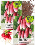 Seed Needs Radish Seeds for Planting French Breakfast Radishes - Non-GMO Heirloom & Untreated - Grow a Home Grown Vegetable Garden - Cool Weather Crops (2 Packs)