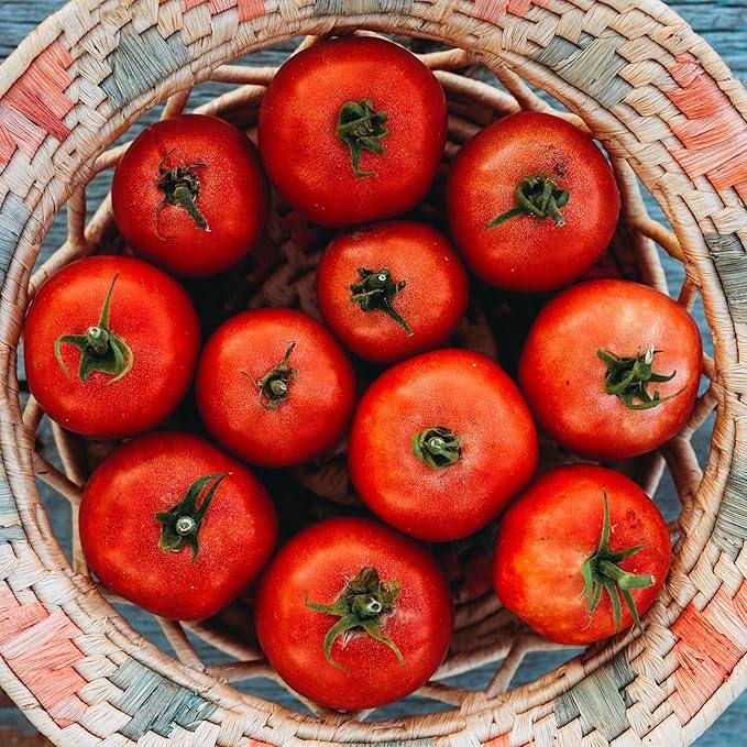 Eva Purple Ball Tomato - 50 Seeds - Heirloom Tomato Variety, USA-Grown, Non-GMO Vegetable Seeds for Planting Outdoors in The Home Garden, Thresh Seed Company