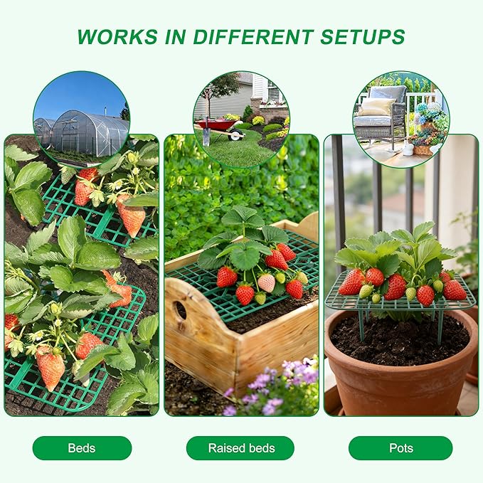 Strawberry Plant Supports, 10 Pack Square Frames Keep Strawberries Off Ground, Garden Holders for Cleaner Strawberry Fruit & Easier Harvest