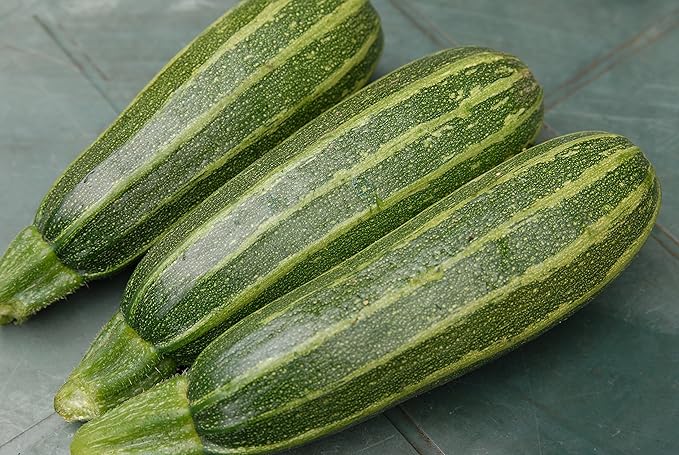 Seeds Zucchini Gren Tiger Heirloom Vegetable for Planting Non GMO