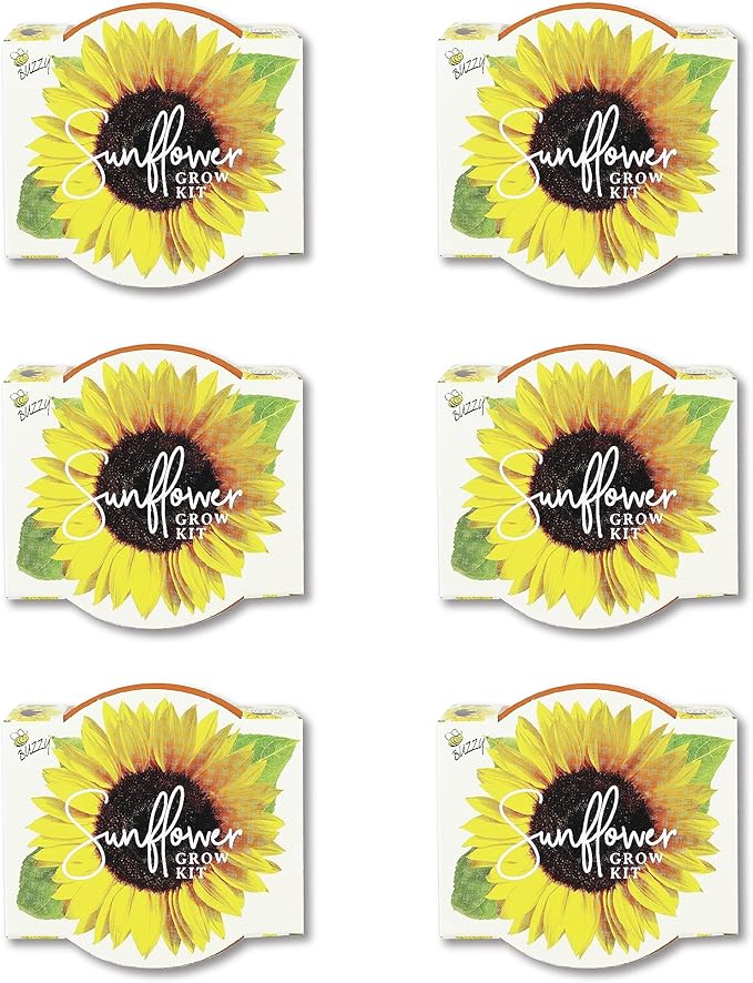 BUZZY Seeds Sunflower Daydream Collection 6-Pack Mini Terracotta Grow Pots, Includes Seed Packets and Growing Medium, Flower Starter Kit, Indoor Gardening Gift, Wedding Favors