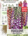 Seed Needs Foxglove Seeds for Planting Excelsior Mix Fox Glove - Heirloom & Open Pollinated Flowers to Plant an Outdoor Butterfly Garden with Colorful Wildflowers (1 Pack)