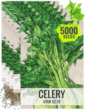 Seed Needs Celery Seeds for Planting Utah 52-70 Celery - Non-GMO, Heirloom & Untreated - Grow a Home Grown Outdoor Vegetable Garden for Fresh Produce (5 Packs (5,000 Seeds))