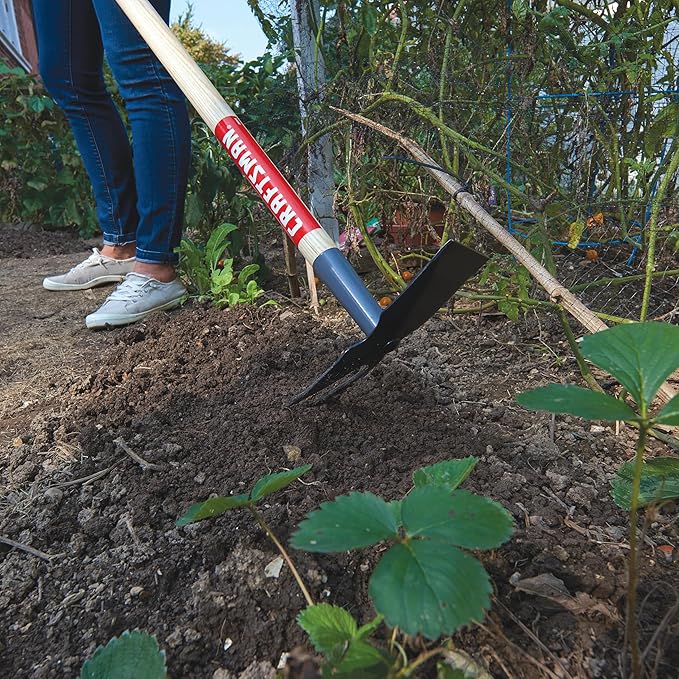 Craftsman Wood-Handled 2-Prong Hoe for Weeding, Cultivating, and Chopping
