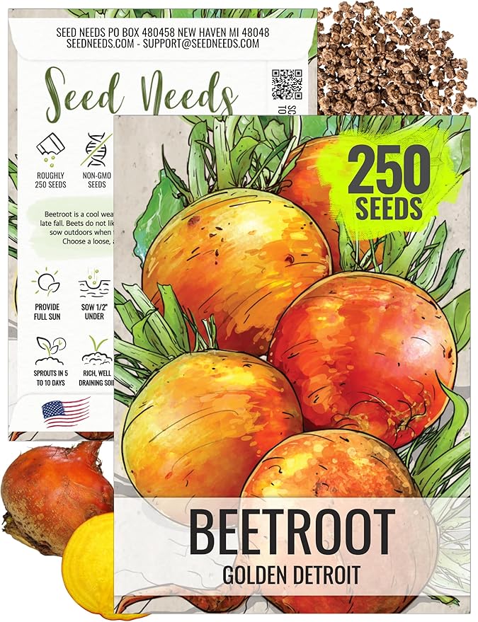 Seed Needs, Golden Detroit Beet Seeds - 250 Heirloom Seeds for Planting Beta vulgaris - Grow an Outdoor Garden Non-GMO & Untreated (1 Pack)
