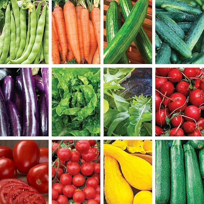 Ferry-Morse Organic Vegetable Garden Seed Bundle - 12 Pack