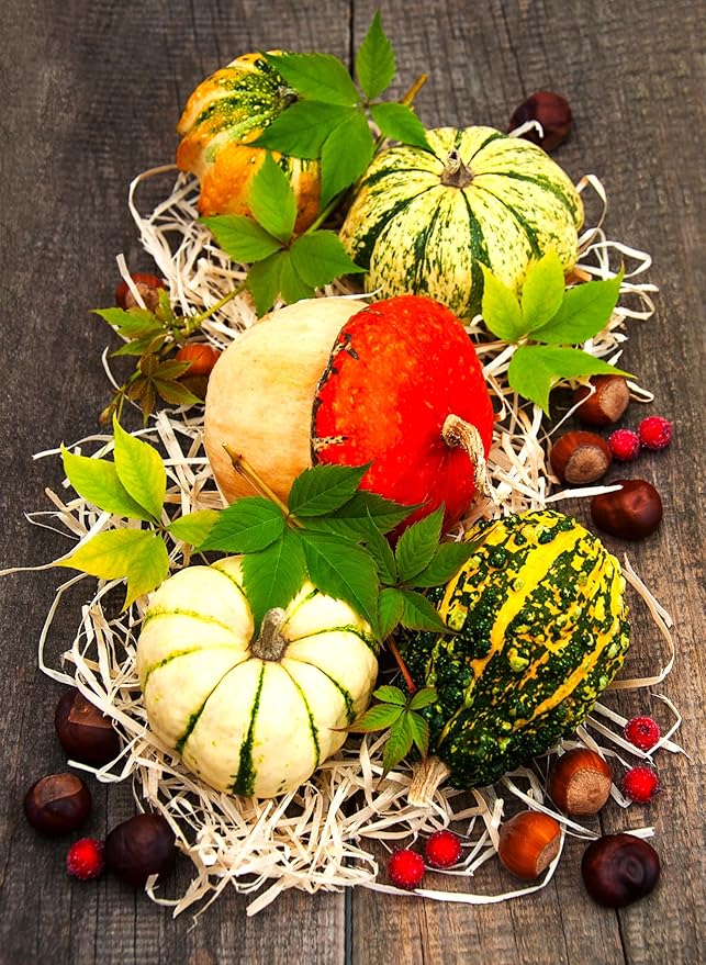 Decorative Pumpkin Seed Mix Ornamental Squash Gourd Mix 10 Non-GMO Seeds for Planting
