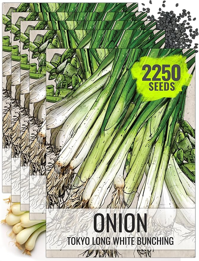 Seed Needs Onion Seeds for Planting Tokyo White Bunching Long Day Onions - Non-GMO Heirloom & Untreated Vegetable Seeds to Plant an Outdoor Home Grown Veggie Garden (5 Packs)