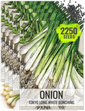 Seed Needs Onion Seeds for Planting Tokyo White Bunching Long Day Onions - Non-GMO Heirloom & Untreated Vegetable Seeds to Plant an Outdoor Home Grown Veggie Garden (5 Packs)