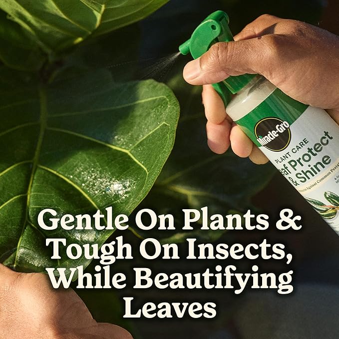 Miracle-Gro Indoor Potting Mix (6 qt.) and Plant Food (8 fl. oz.) for All Plant and Plant Care Leaf Protect & Shine (8 fl. oz.) - Bundle for Growing, Fertilizing, Protecting and Cleaning Houseplants