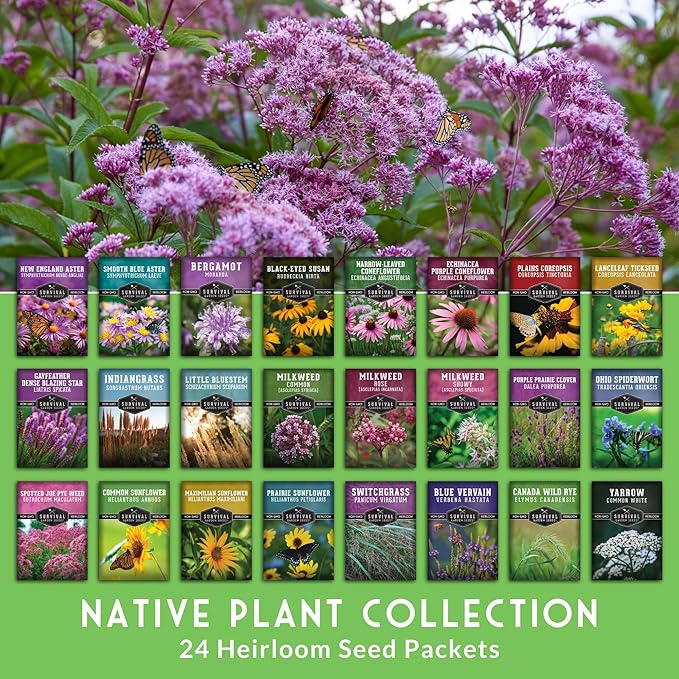 Native Plant Seeds for Planting 24 Variety Pack – Perennial & Annual North American Wildflowers for Butterfly & Bee-Friendly Pollinator Gardens – Non-GMO Heirloom – Survival Garden Seeds