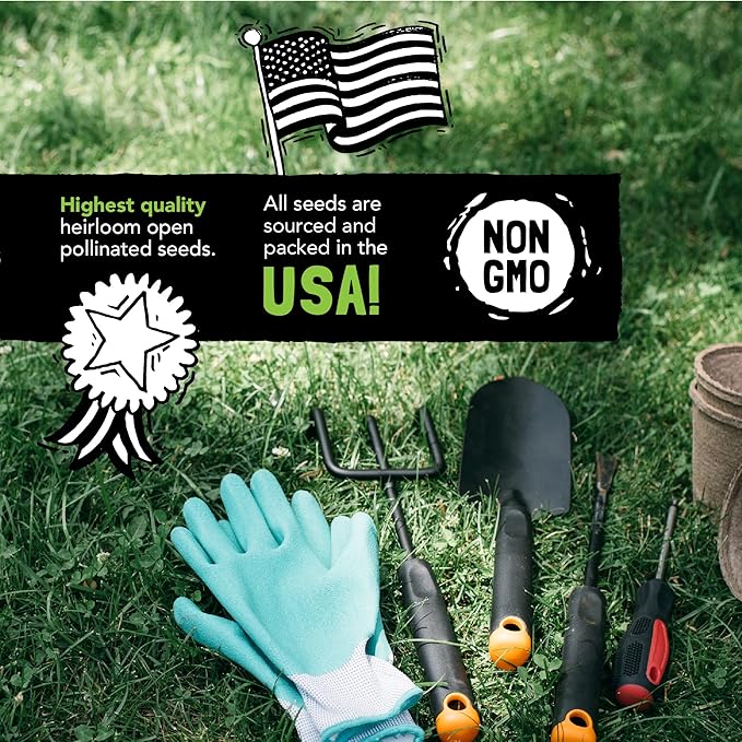 Vegetable Seeds for Planting: 13 Heirloom Veggie Seeds for Planting Home Garden: Tomatoes Lettuce Beets Bell Pepper Zucchini Broccoli Beans Cabbage Cauliflower Onion Cucumber by Sustainable Sprout