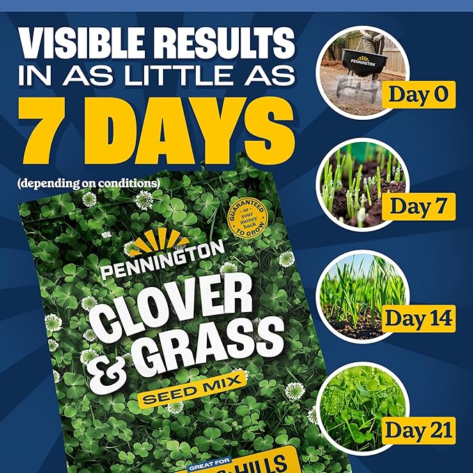 Pennington Clover and Grass Mix 7 lb